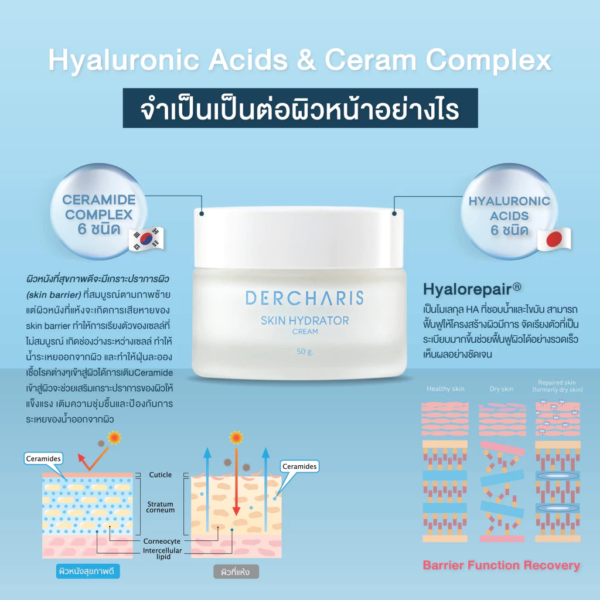 ครีมไฮยาลูโรนิค บำรุงผิวอิ่มฟูกระชับกระจ่างใส 50G แพ็ค 5-Dercharis - Image 3